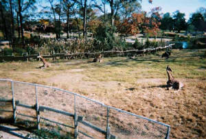 2445670-r1-051-24zoo.jpg