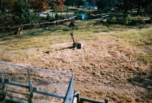 2445670-r1-053-25zoo.jpg