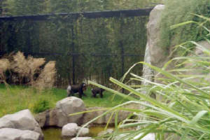 img000zoo.jpg