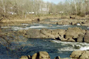 img14.jpg