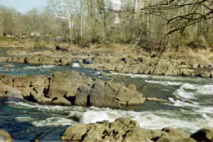 img15.jpg