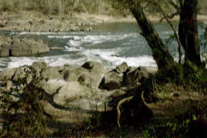 img17.jpg