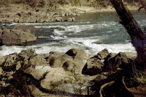 img18.jpg