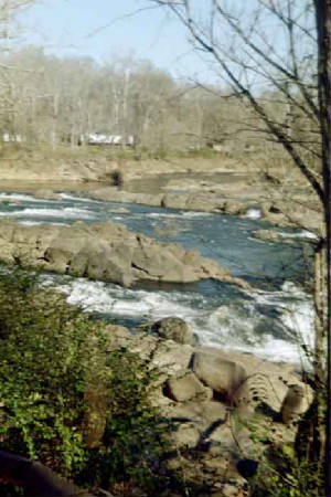 img19.jpg