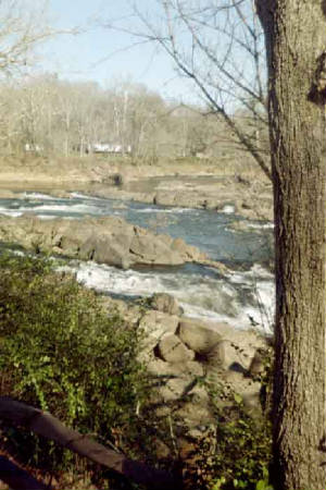 img20.jpg