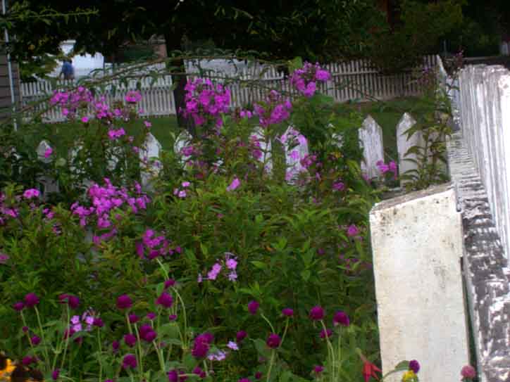 100_1809.jpg